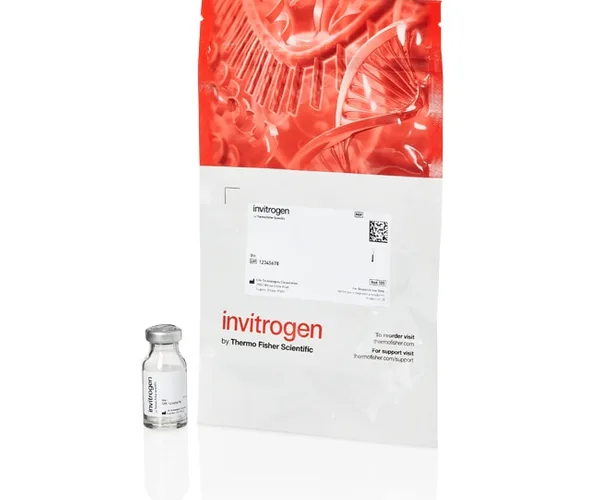 Thermo Fisher Scientific FluoSpheres Polystyrene Microspheres, 10 μm, yellow-green fluorescent (505/515), for blood flow determination