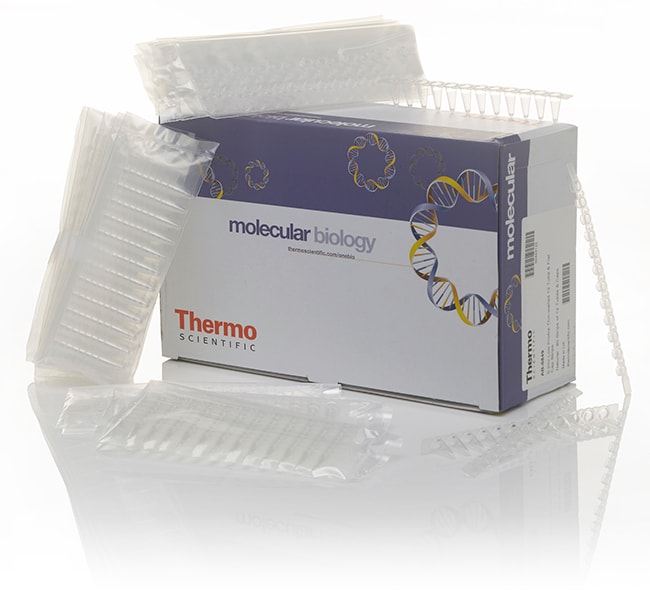 Thermo Fisher Scientific Low Profile Tubes and Flat Caps, strips of 12