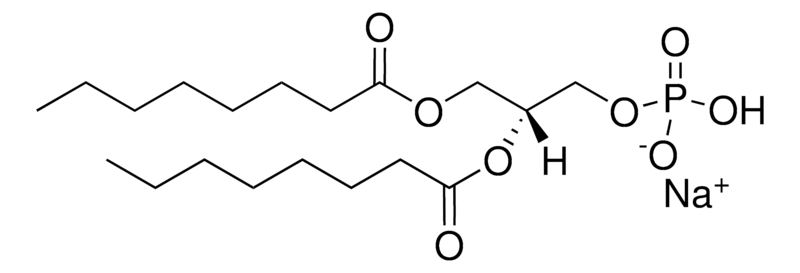 Merck 08:0 PA