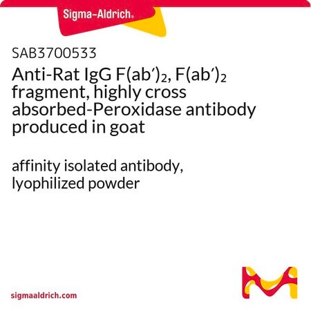 Merck Anti-Rat IgG F(ab')2, F(ab')2 fragment, highly cross absorbed-Peroxidase antibody produced in goat