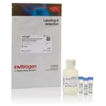 Thermo Fisher Scientific pHrodo Deep Red Mammalian and Bacterial Cell Labeling Kit