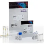 Thermo Fisher Scientific Pacific Blue Antibody Labeling Kit, 5 Reactions kit