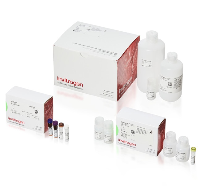 Thermo Fisher Scientific ViewRNA Tissue Fluorescence 1 Plex Assay Core Kit, with Alexa Fluor 647 (Type 6) Label Probe