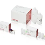 Thermo Fisher Scientific ViewRNA Tissue Fluorescence 1 Plex Assay Core Kit, with Alexa Fluor 647 (Type 6) Label Probe
