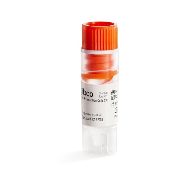 Thermo Fisher Scientific Viral Production Cells 2.0, 1 vial