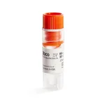 Thermo Fisher Scientific Viral Production Cells 2.0, 1 vial