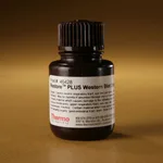 Thermo Fisher Scientific Restore PLUS Western Blot Stripping Buffer, 30 mL