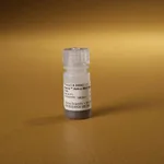 Thermo Fisher Scientific Pierce Anti-c-Myc Magnetic Beads