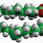 Merck 15:0-18:1-D7-PA