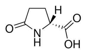 Merck (R)-(+)-2-PYRROLIDONE-5-CARBOXYLIC ACID&