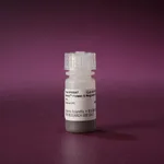 Thermo Fisher Scientific Pierce Protein G Magnetic Beads