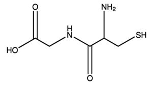 Merck CYS-GLY