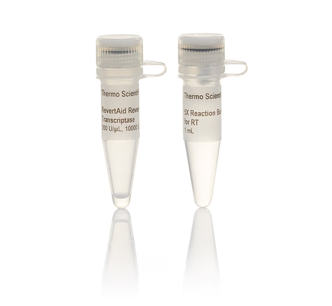 Thermo Fisher Scientific RevertAid Reverse Transcriptase (200 U/μL), 10,000 Units