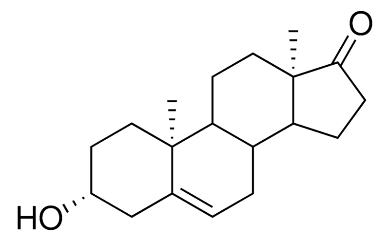 Merck Ent-DHEA