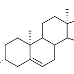 Merck Ent-DHEA