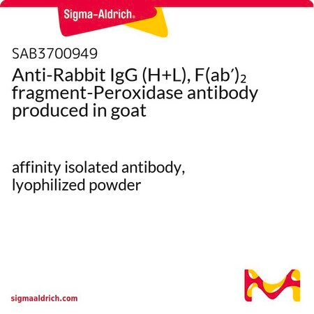 Merck Anti-Rabbit IgG (H+L), F(ab')2 fragment-Peroxidase antibody produced in goat