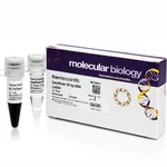 Thermo Fisher Scientific GeneRuler 50 bp DNA Ladder, 50 ug