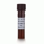 Thermo Fisher Scientific Alkaline Phosphatase Live Stain