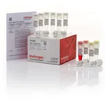 Thermo Fisher Scientific Anza 10-Pack Starter Kit