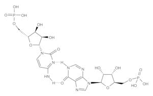 Merck POLY I: POLYC POTASSIUM SALT, IRRADIATED