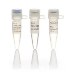 Thermo Fisher Scientific Phire Hot Start II PCR Master Mix, 1,000 reactions