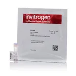 Thermo Fisher Scientific SYBR Gold Nucleic Acid Gel Stain (10,000X Concentrate in DMSO)
