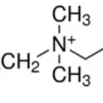 Merck 3-(N,N-DIMETHYLPALMITYLAMMONIO)PROPANES&