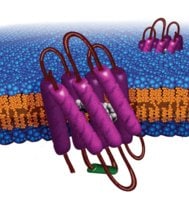 Merck BACTERIORHODOPSIN FROM HALOBACTERIUM