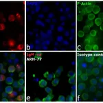 Thermo Fisher Scientific Goat anti-Human IgM Cross-Adsorbed Secondary Antibody, DyLight 650