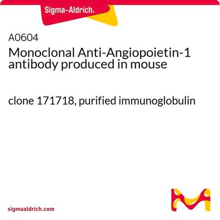 Merck Monoclonal Anti-Angiopoietin-1 antibody produced in mouse