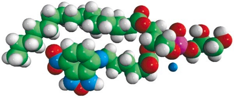 Merck 16:0-06:0 NBD PG