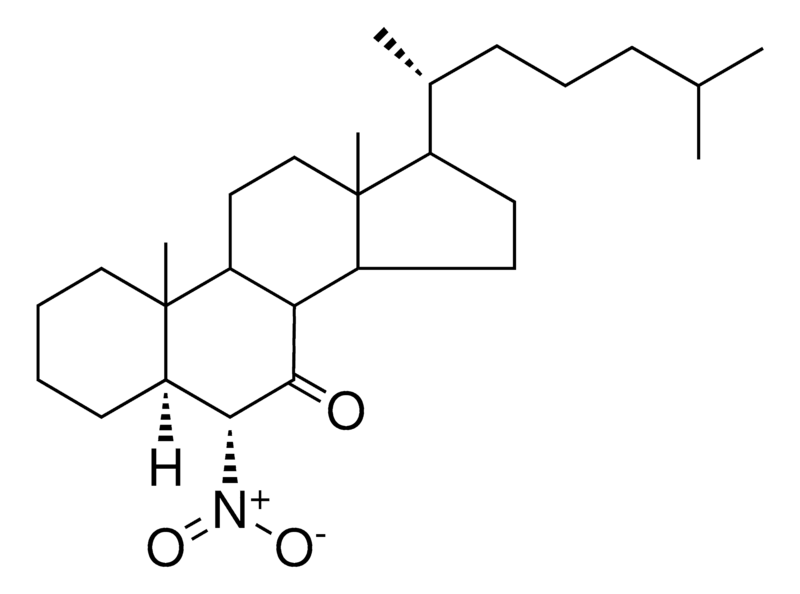 Merck 6-ALPHA-NITRO-5-ALPHA-CHOLESTA - 1 MG&