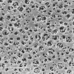 Sartorius Cellulose Acetate Membrane Filters