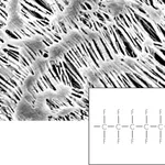 Sartorius Hydrophobic PTFE Membrane Filters