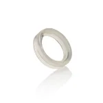 Nalgene Silicone Sanitary Gasket for Nalgene Carboy