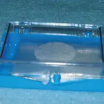 Hemacytometer Cover Glass